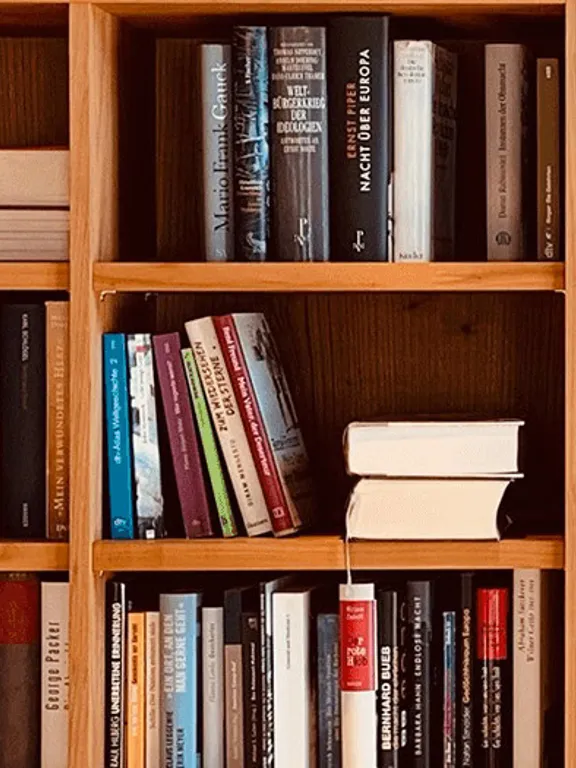 A close-up shot of several wooden bookshelves filled with various books. Some books are standing upright, while others are stacked horizontally. The spines of the books are different colors and have different titles, although they are not clearly readable.