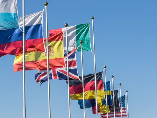 A photo of international flags flying on masts.