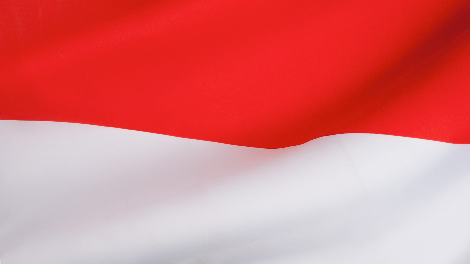 An image of the Indonesian flag.