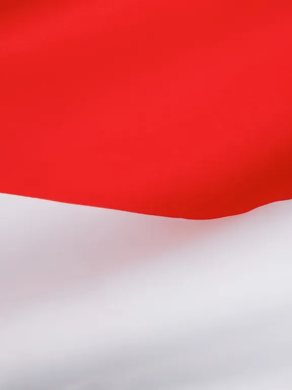 An image of the Indonesian flag.
