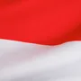 An image of the Indonesian flag.