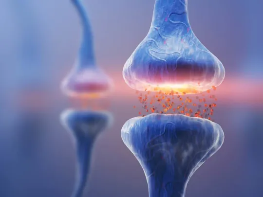 A close-up, computer-generated image of a synapse. The image shows a synaptic cleft where neurotransmitters, depicted as small orange particles, are being released from one neuron terminal and are about to be received by another.