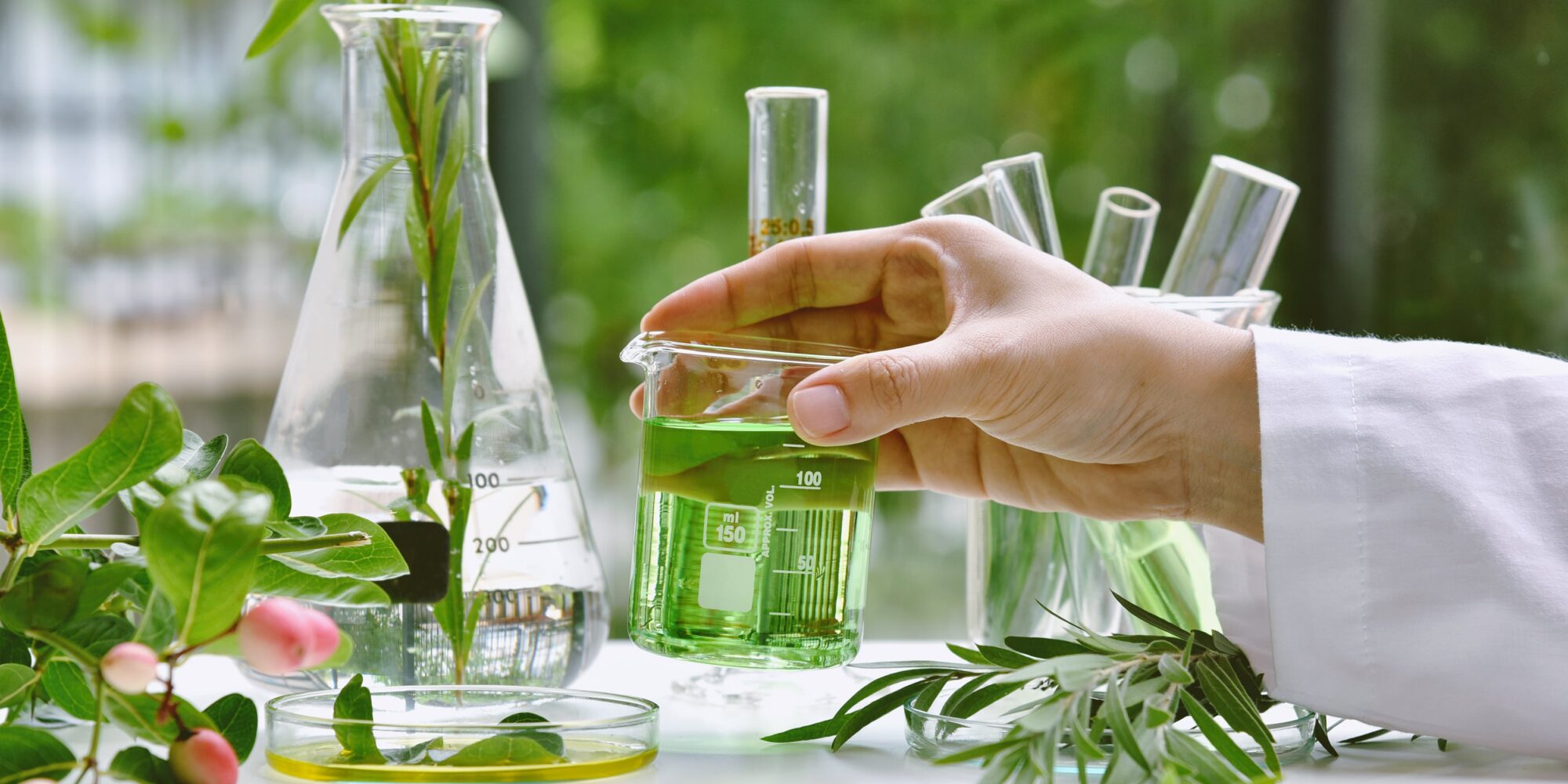 Plants and liquids being tested in a variety of scientific beakers and equipment. 