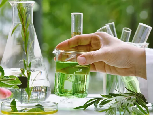 Plants and liquids being tested in a variety of scientific beakers and equipment.