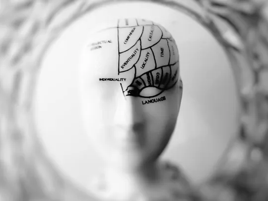 A black and white, close-up shot of a phrenology bust. The head is partially in focus, and markings and text such as