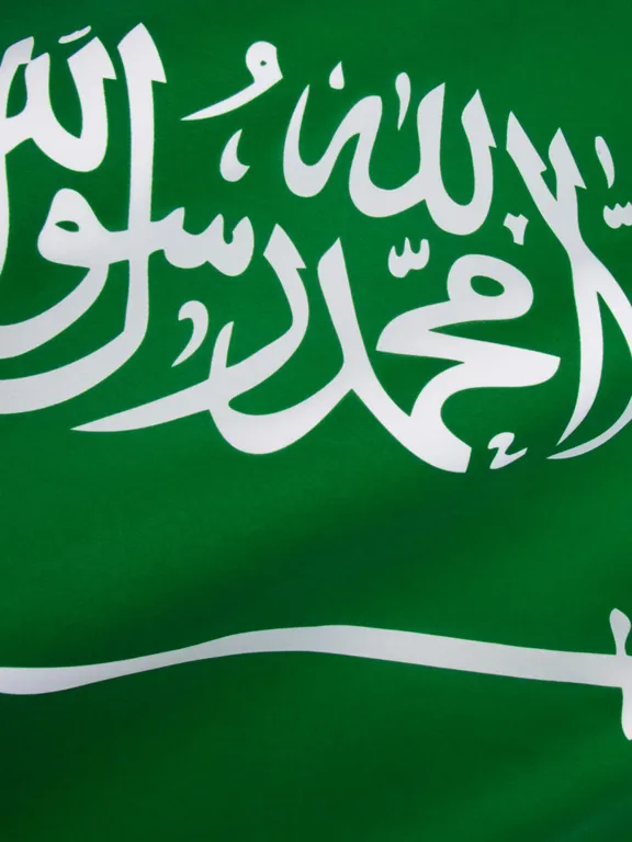 An image of the flag of Saudi Arabia.