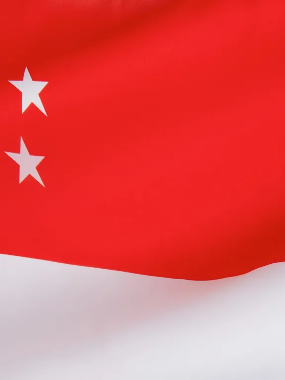 An image of the flag of Singapore.