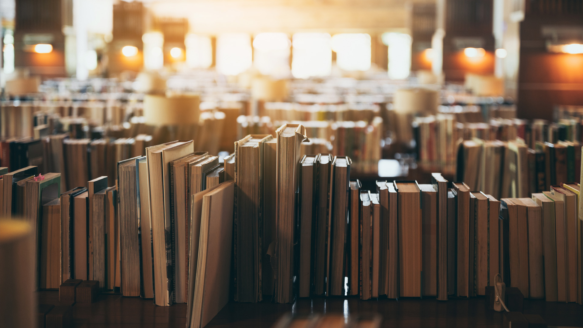 A warm, inviting photo inside a library, showing rows of old books standing upright on tables with sunlight streaming in the background.