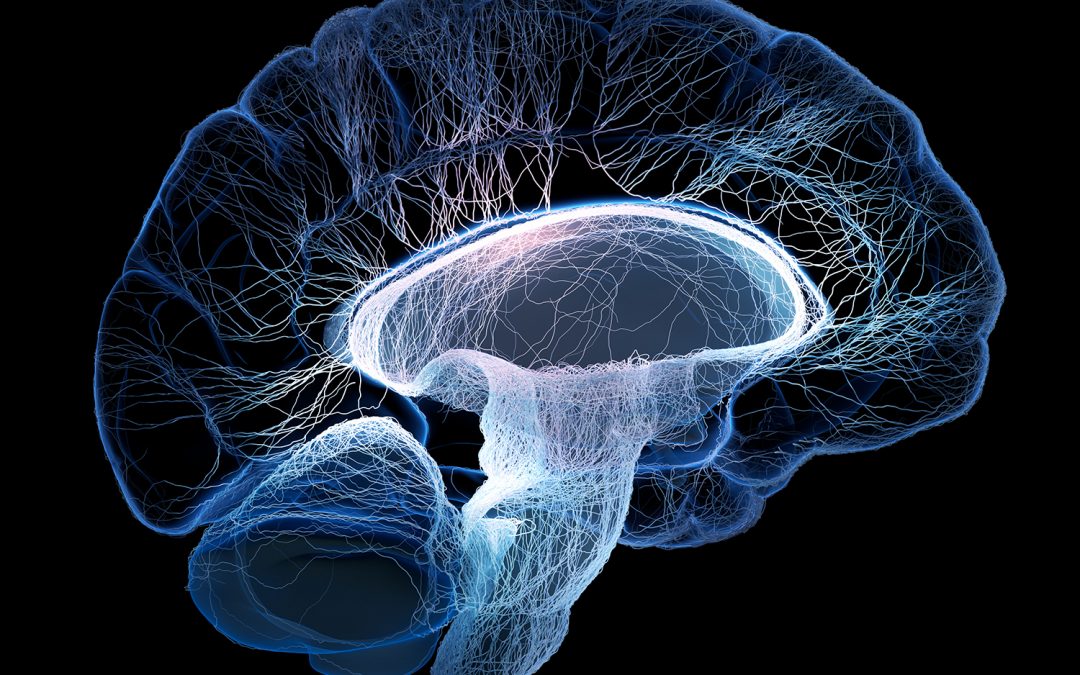A side view of a digitally rendered human brain is shown against a black background. The brain is glowing with blue and white light, highlighting the intricate network of neural connections.