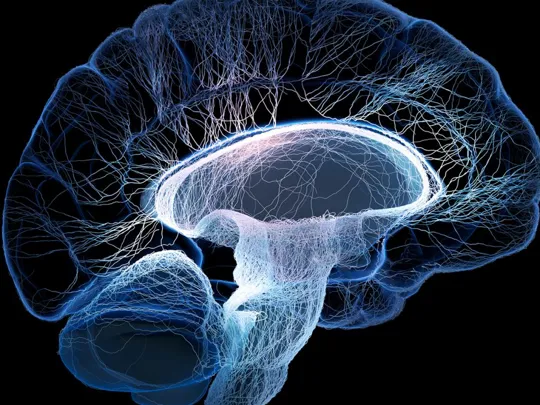 A side view of a digitally rendered human brain is shown against a black background. The brain is glowing with blue and white light, highlighting the intricate network of neural connections.