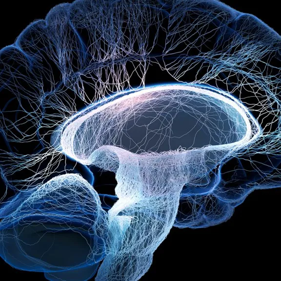 A side view of a digitally rendered human brain is shown against a black background. The brain is glowing with blue and white light, highlighting the intricate network of neural connections.