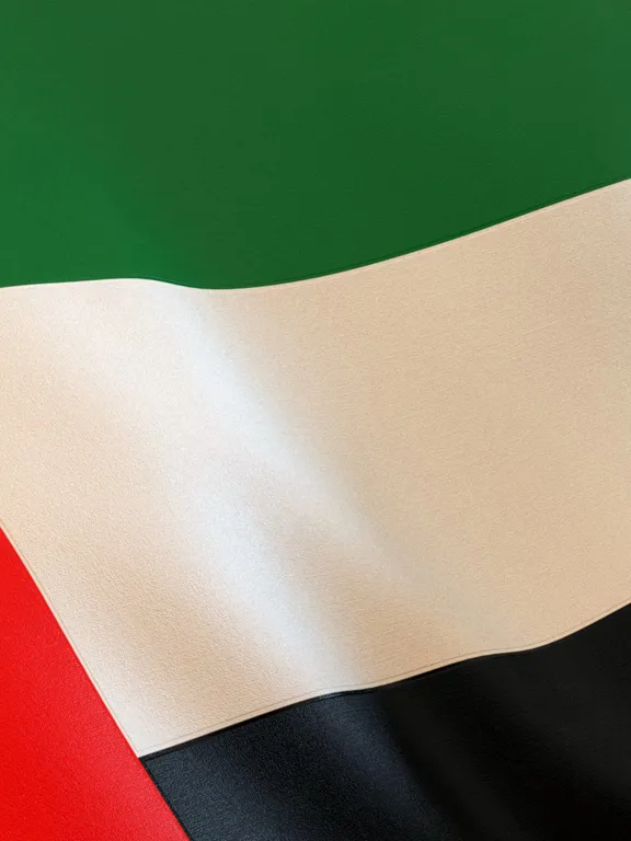 UAE flag