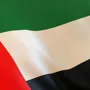 UAE flag