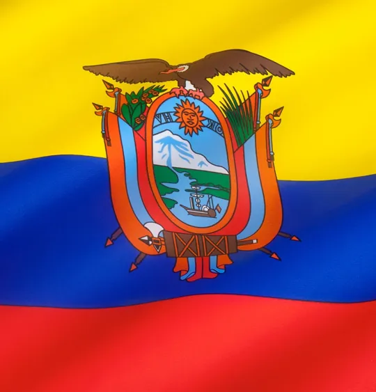 A picture of the flag of Ecuador.
