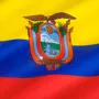 A picture of the flag of Ecuador.