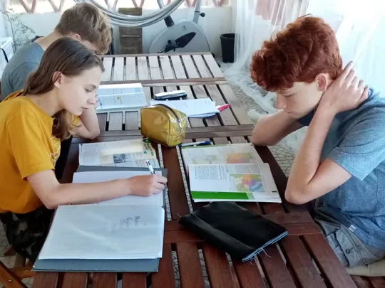 The Binedell children studying together.